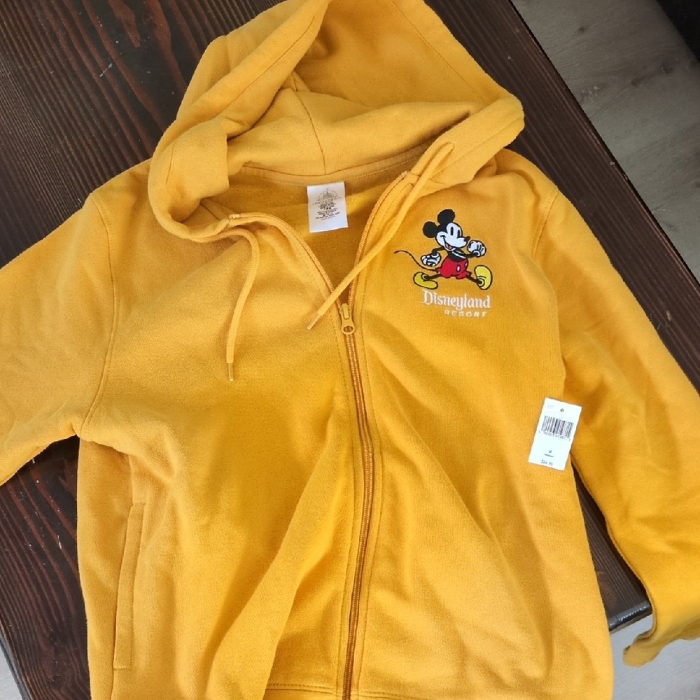Disneyland Resort Mickey hoodie